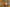 scrolling text